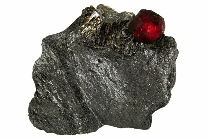 Red Embers Garnet in Graphite - Massachusetts #313429